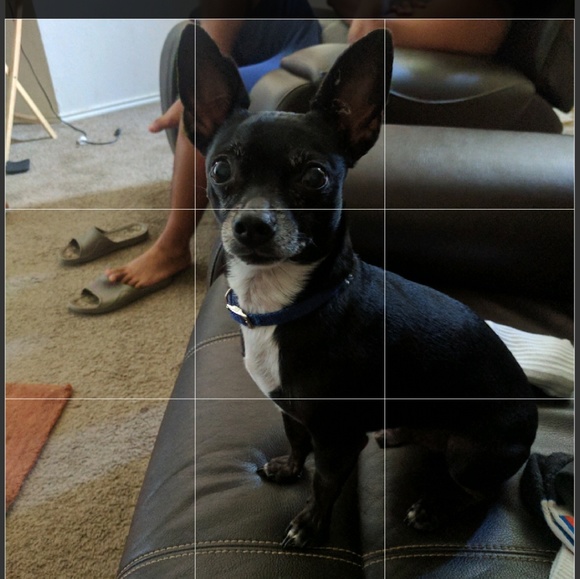 Meet your Posher, Maria luisa - Picture 1 of 2